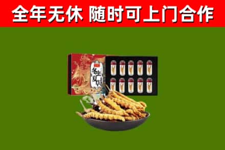 天津烟酒回收冬虫夏草礼盒.jpg